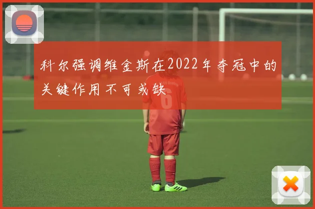 科尔强调维金斯在2022年夺冠中的关键作用不可或缺